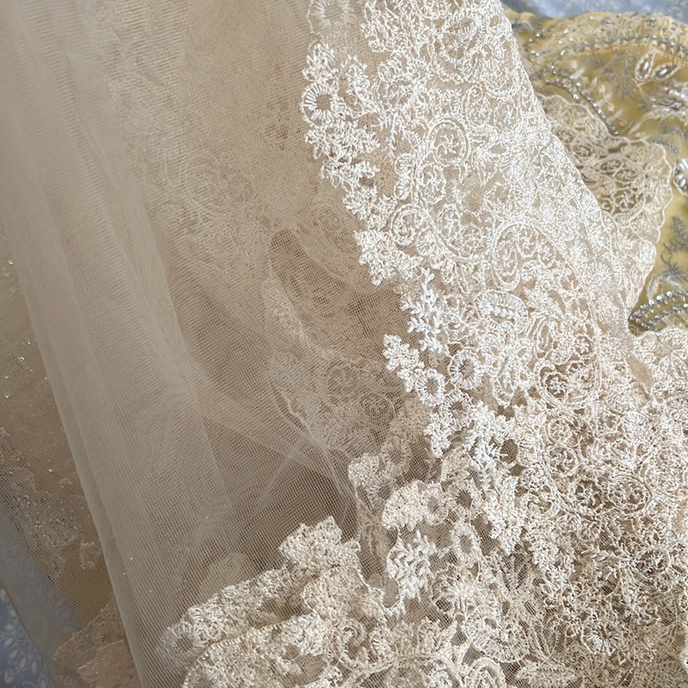 Sana Safinaz designer dress - Picture 5 of 5